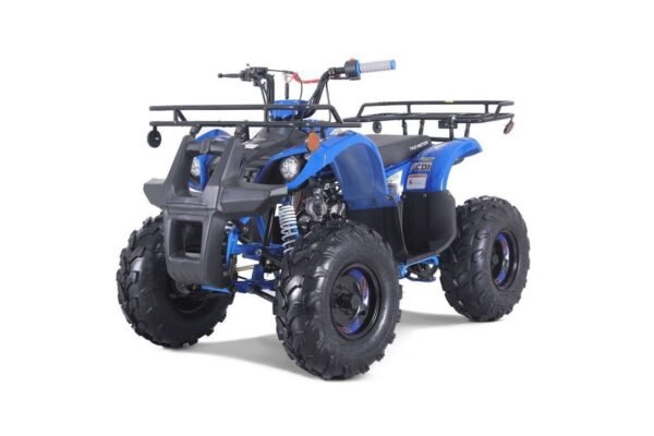 TaoTao T - Force T125 4 - Wheeler All - Terrain Vehicle ATV